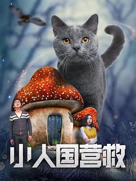 www永久免费视频